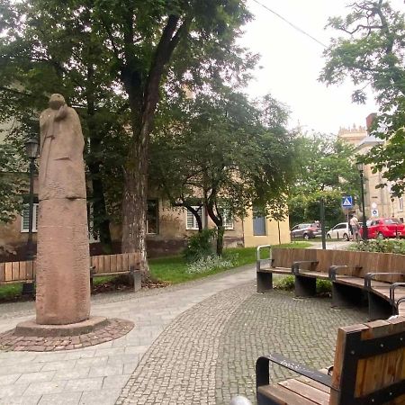Апартаменти Родзинка у центрі міста Львів Екстер'єр фото